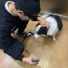 あが傻けだ_9273