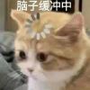 (⊙o⊙)_823