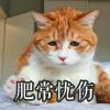 子衿悠悠