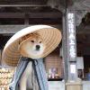 FOOL_9699