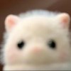 养熊猫的大哥.seven