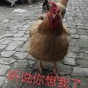 千萬別問