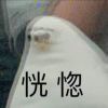终极小虫