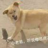 深碍，