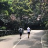 轻叹_476