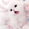 我゛只在乎关心我的人ゝ