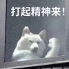 战神007_982
