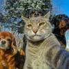 卖菇凉的小火柴_5371