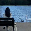 甘愿_897