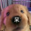 用戶頭像