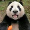 不要，壮士换个呗