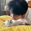 ☆尐丶笨蛋