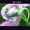 巧然邂逅