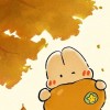 风中_822