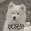 笨笨女孩