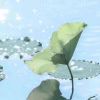 【天下】心跳