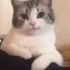 ╄風輕雲淡℃℡