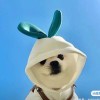 总有刁民想害朕_7462