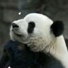 ╰茶靡微凉、凉到忧伤。_320
