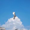 ～残丶扯淡丨