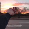 影￥。↗梦』