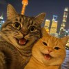 枫的@优＆伤