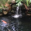 硪の世界