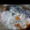 人生如梦_1008