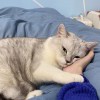萌、沐兮ゝ_3823