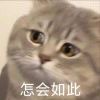 /偷心少年/