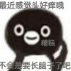 从前有块小石头