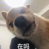 丿仰头、泪流回心々