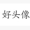 自由飞翔_1039