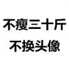 冷布丁