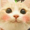 ✿ 菁菁