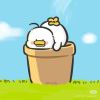 寒风眠眠
