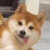 滚出，我de靑春！