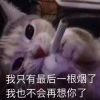 泡泡糖_834