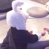 昕~梦残
