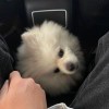 聆听那散落的记忆。