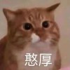 黑夜_718