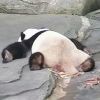 春凉夏花