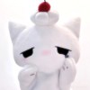 王韵涵