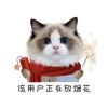 小酒窝_3157