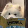 小三氾濫的年代