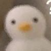 用戶頭像