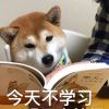 用戶頭像