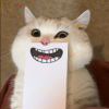 ）^ 。^（