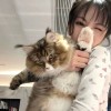 小熊猫（国宝）