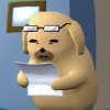 不相信月亮